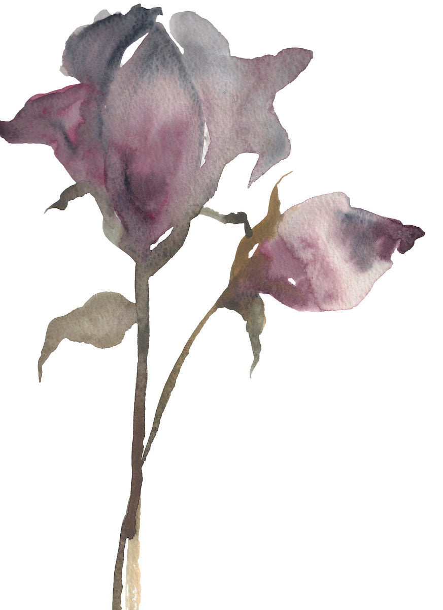 9” x 12” original watercolor botanical floral rose painting in an ethereal, expressive, impressionist, minimalist, modern style by contemporary fine artist Elizabeth Becker. Soft and deep moody mauve purple, olive green and white colors.