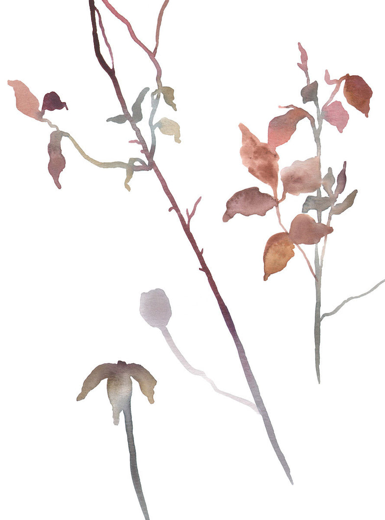 9” x 12” original watercolor botanical floral rose bush branches and leaves painting in an ethereal, expressive, impressionist, minimalist, modern style by contemporary fine artist Elizabeth Becker. Soft mauve purple, light pale olive green, pink, peach and white colors.