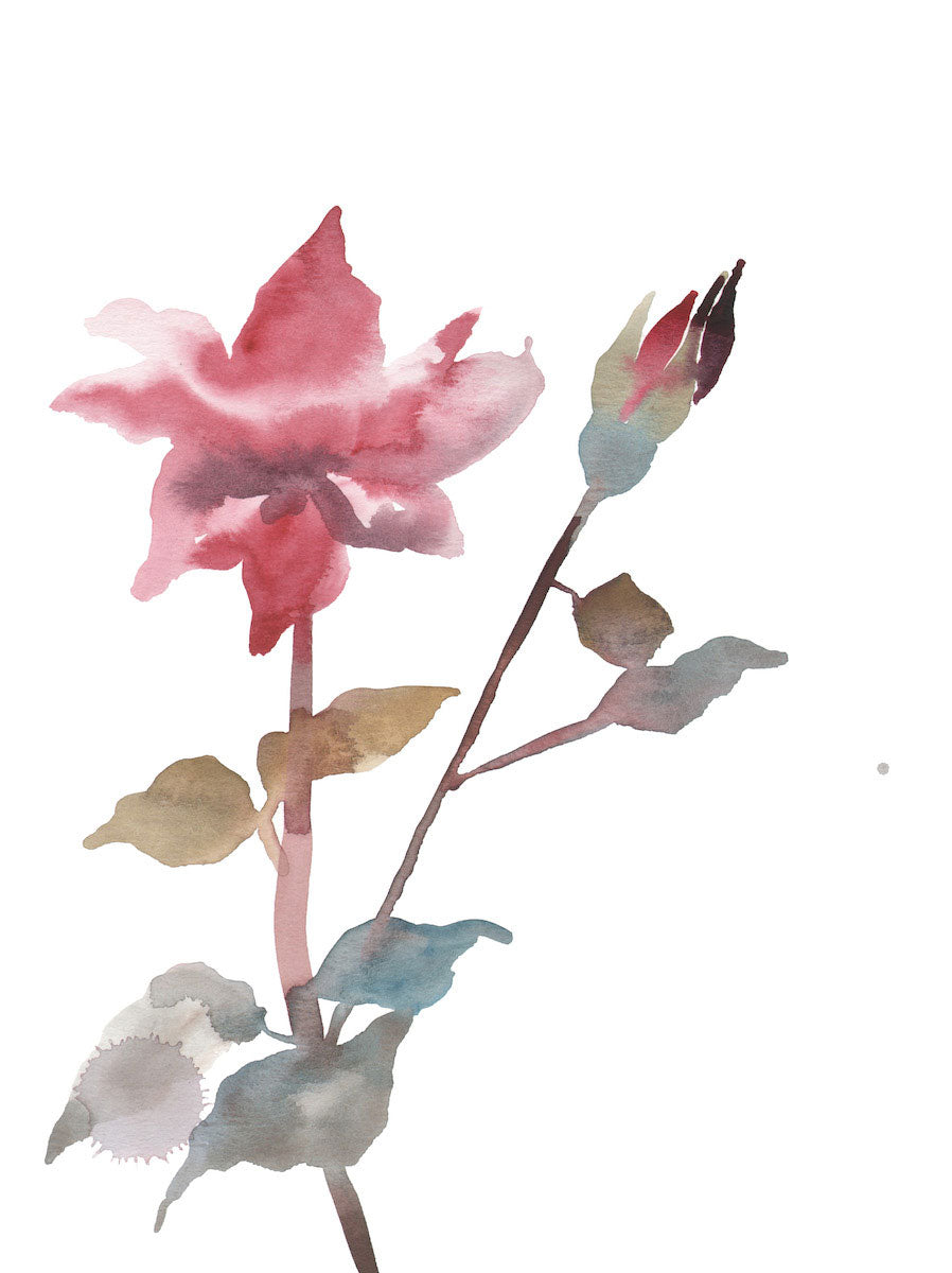 9” x 12” original watercolor botanical simple floral rose painting in an ethereal, expressive, impressionist, minimalist, modern style by contemporary fine artist Elizabeth Becker. Soft red, pink, olive gold, light blue green and white colors.