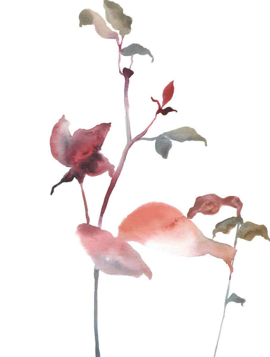 9” x 12” original watercolor botanical floral rose bush branches and leaves painting in an ethereal, expressive, impressionist, minimalist, modern style by contemporary fine artist Elizabeth Becker. Deep red, soft pink, peach, olive green and white colors.