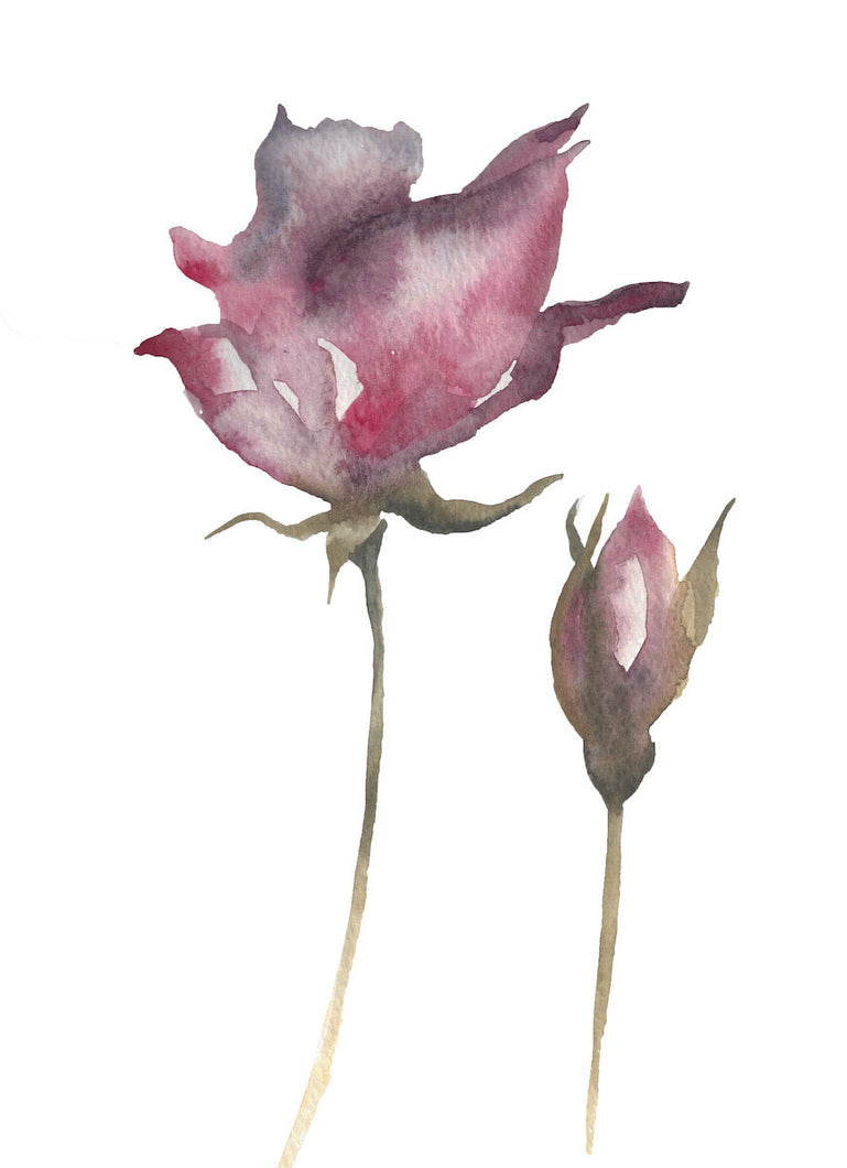 9” x 12” original watercolor botanical floral rose painting in an ethereal, expressive, impressionist, minimalist, modern style by contemporary fine artist Elizabeth Becker. Soft red, pink, mauve purple, olive green and white colors.