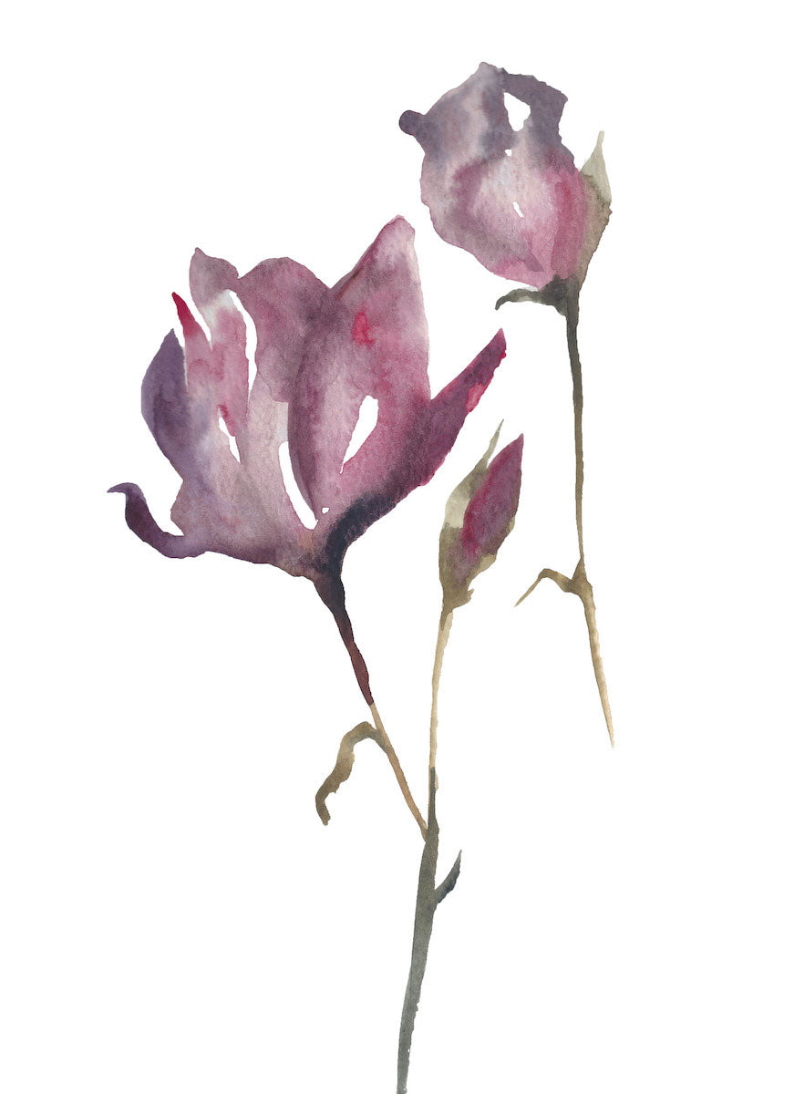 9” x 12” original watercolor botanical floral rose painting in an ethereal, expressive, impressionist, minimalist, modern style by contemporary fine artist Elizabeth Becker. Soft red, pink, mauve purple, olive green and white colors.