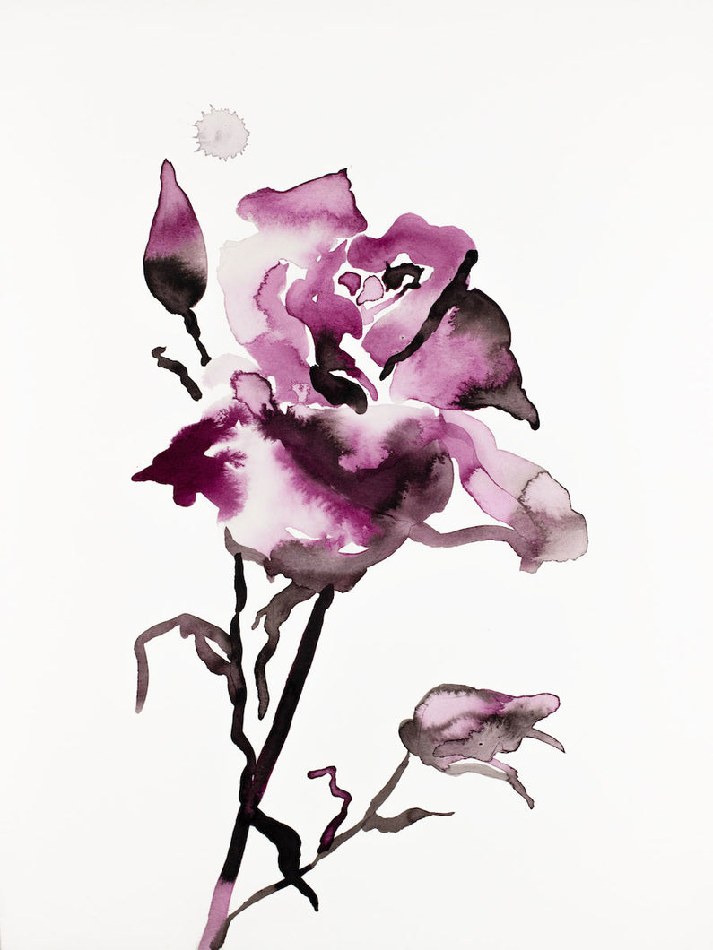 9” x 12” original watercolor ink botanical hellebore floral painting in an expressive, impressionist, minimalist, modern style by contemporary fine artist Elizabeth Becker. Deep moody monochromatic fuschia pink black and white colors.