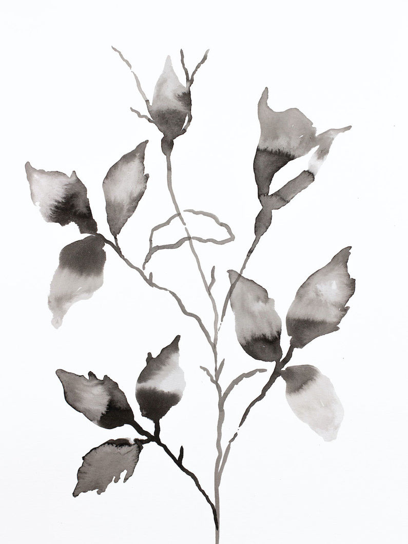 9” x 12” original botanical floral ink painting in an expressive, impressionist, minimalist, modern style by contemporary fine artist Elizabeth Becker. 