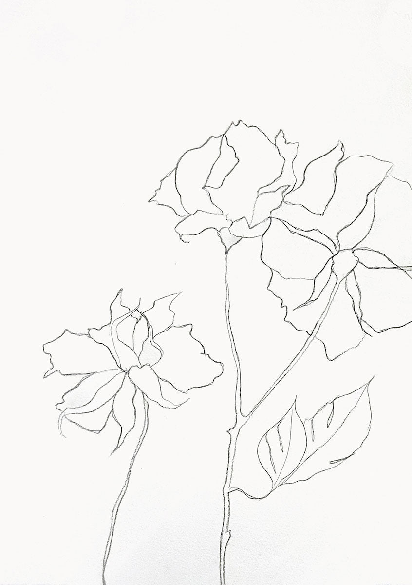 11” x 15” original graphite pencil floral line drawing in a minimalist modern style by contemporary fine artist Elizabeth Becker. 