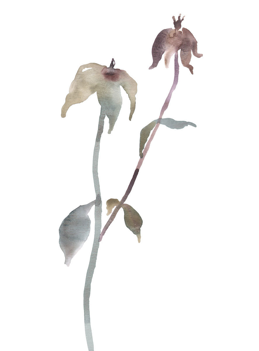 9” x 12” original watercolor botanical floral rose bud painting in an ethereal, expressive, impressionist, minimalist, modern style by contemporary fine artist Elizabeth Becker. Soft mauve purple, olive gold, blue green and white colors.