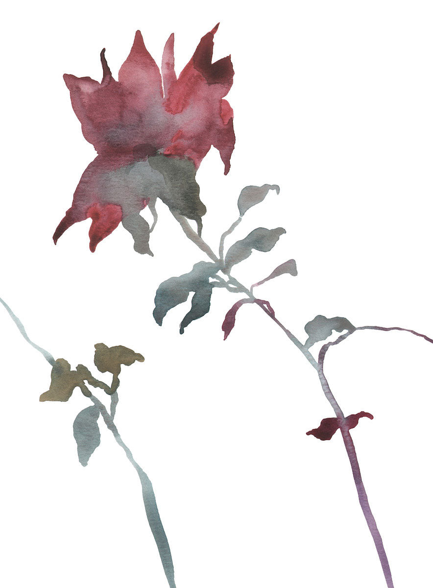 9” x 12” original watercolor botanical floral rose bud painting in an ethereal, expressive, impressionist, minimalist, modern style by contemporary fine artist Elizabeth Becker. Soft and deep red, olive, blue green, purple and white colors.