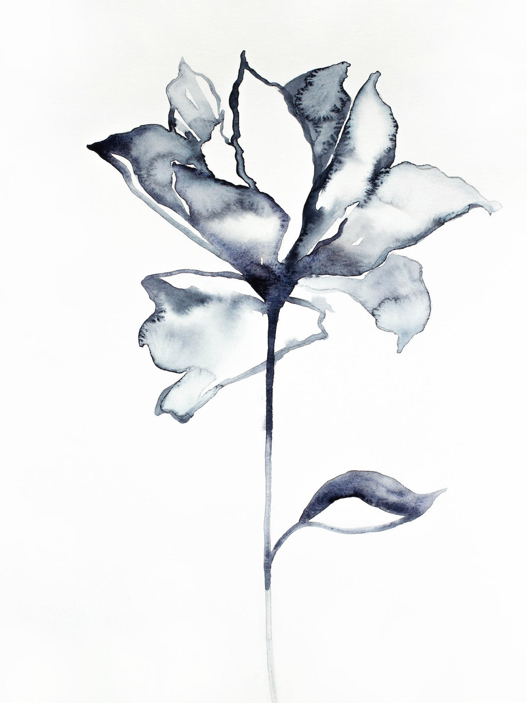 9” x 12” original watercolor botanical floral rose painting in an expressive, impressionist, minimalist, modern style by contemporary fine artist Elizabeth Becker. Soft black, gray and white colors.