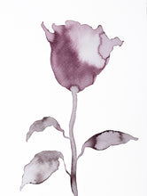 Load image into Gallery viewer, 9” x 12” original botanical rose flower, floral ink painting in an expressive, impressionist, minimalist, modern style by contemporary fine artist Elizabeth Becker. Soft watery mauve, eggplant, plum purple and white colors. 
