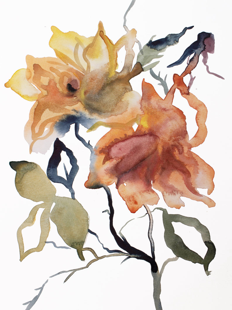 9” x 12” original watercolor botanical simple floral rose painting in an ethereal, expressive, impressionist, minimalist, modern style by contemporary fine artist Elizabeth Becker