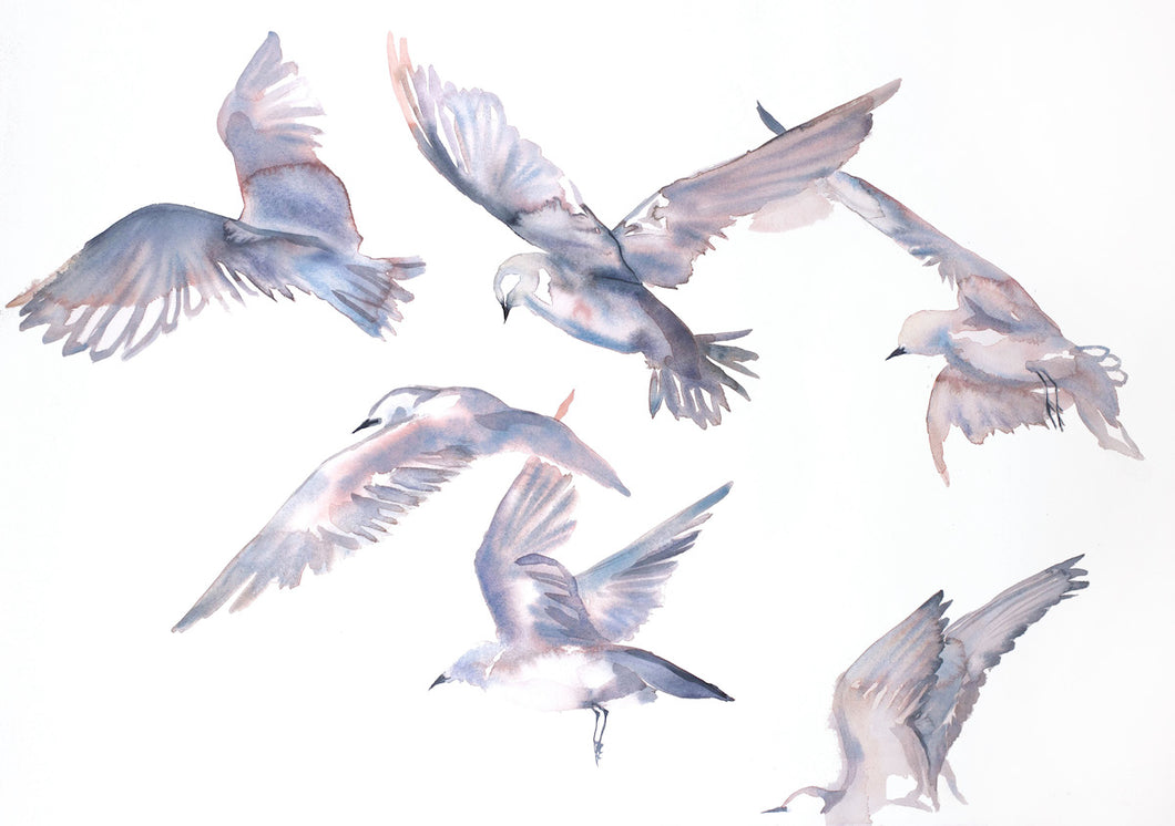 26” x 36.5” original watercolor abstract painting of seagulls in flight in an ethereal, expressive, impressionist, minimalist, modern style by contemporary fine artist Elizabeth Becker