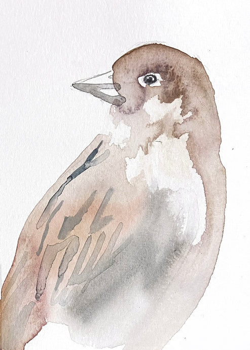 5” x 7” original watercolor wildlife nature sparrow bird painting in an ethereal, expressive, impressionist, minimalist, modern style by contemporary fine artist Elizabeth Becker