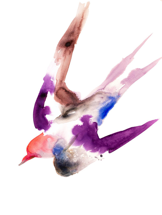 18” x 24” original watercolor and ink flying swallow bird painting in an expressive, impressionist, minimalist, modern style by contemporary fine artist Elizabeth Becker. Soft pink, vibrant orange, deep purple, burnt siena brown, gray and white colors.