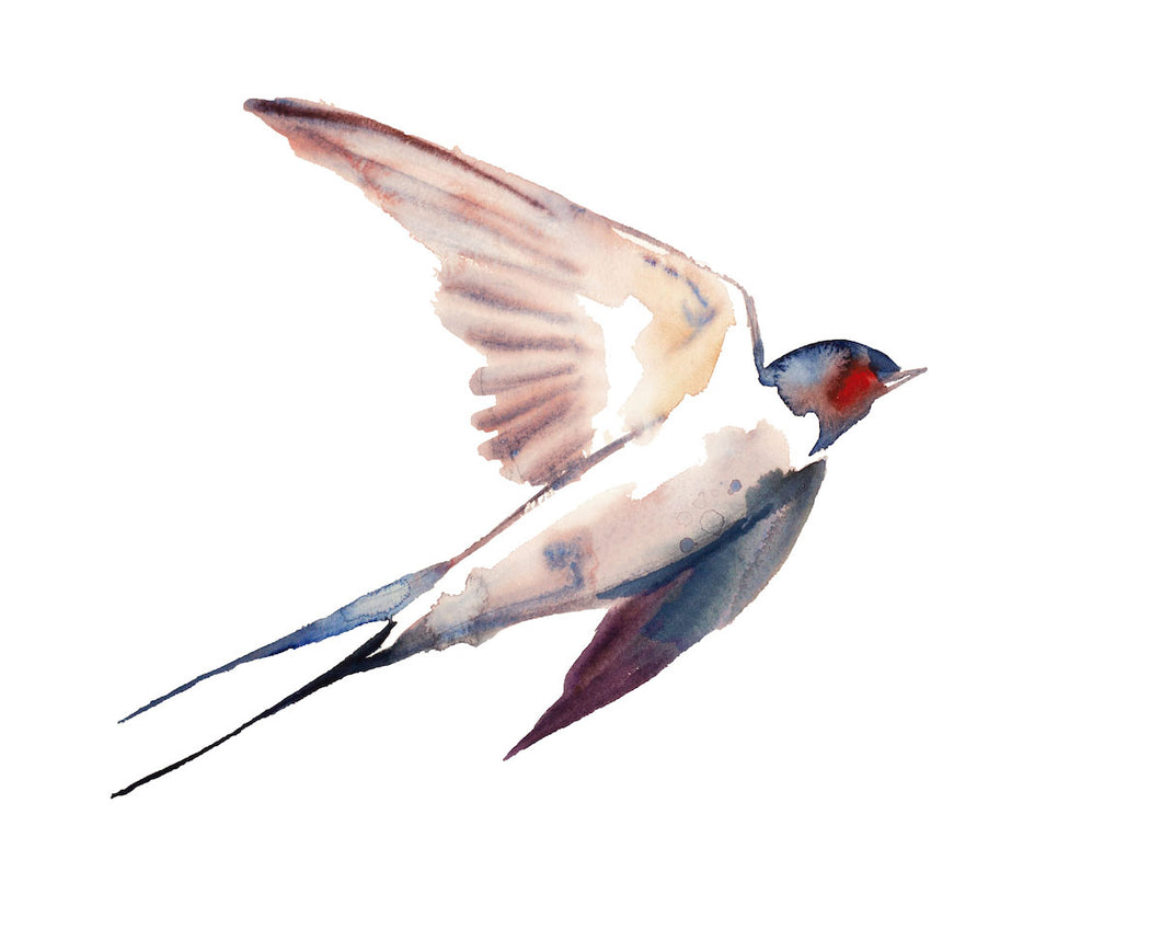 16” x 20” original watercolor flying barn swallow bird painting in an expressive, impressionist, minimalist, modern style by contemporary fine artist Elizabeth Becker. Soft peach, red, blue, purple and white colors.