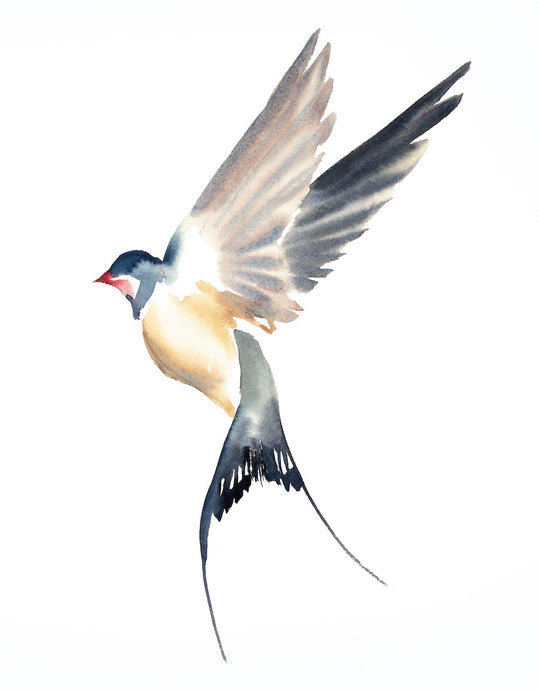 16” x 20” original watercolor flying swallow bird painting in an expressive, impressionist, minimalist, modern style by contemporary fine artist Elizabeth Becker. Soft peach, ink blue, gray and white colors.
