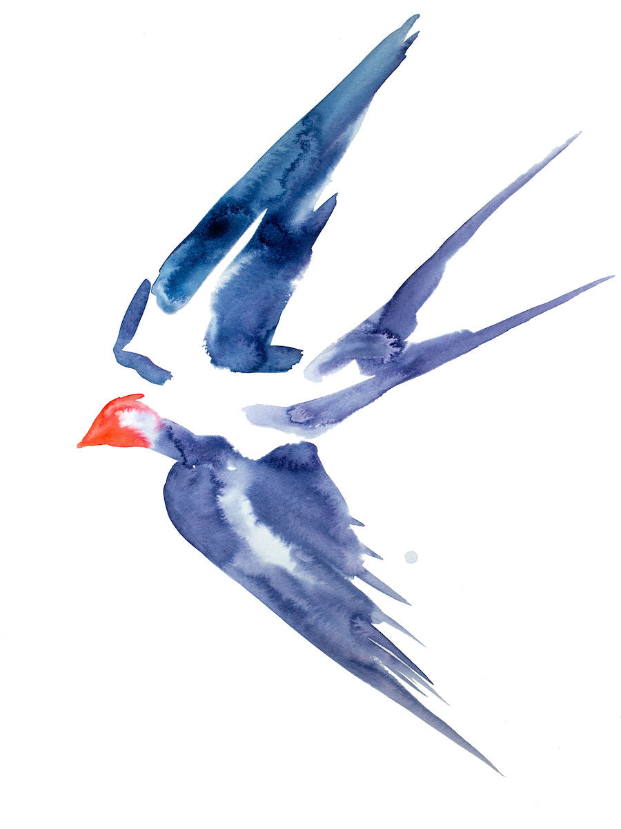 18” x 24” original watercolor and ink flying swallow bird painting in an expressive, impressionist, minimalist, modern style by contemporary fine artist Elizabeth Becker. Blue, purple red and white colors.