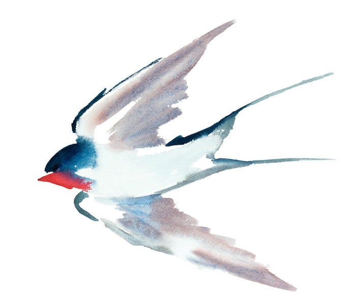 10” x 12” original watercolor flying swallow bird painting in an expressive, impressionist, minimalist, modern style by contemporary fine artist Elizabeth Becker. 