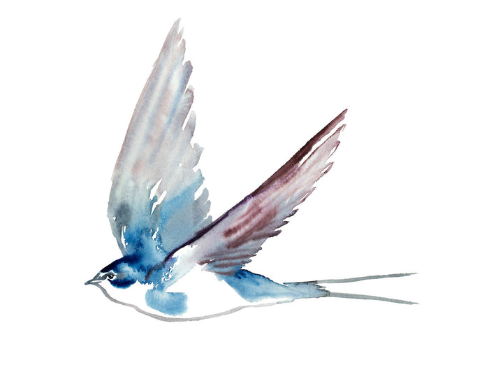 16” x 20” original watercolor flying swallow bird painting in an expressive, impressionist, minimalist, modern style by contemporary fine artist Elizabeth Becker. Soft blue gray, mauve purple and white colors.