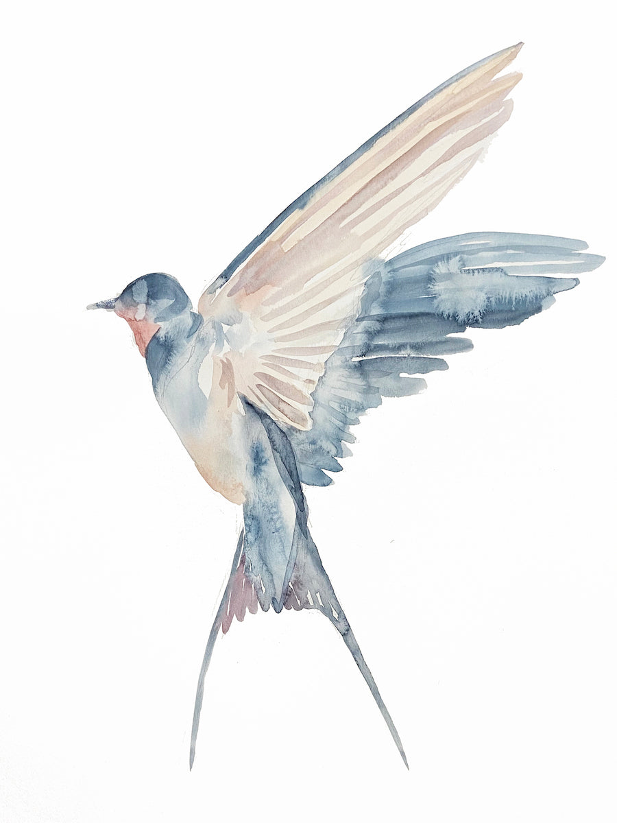 18” x 24” original watercolor swallow in flight bird painting in an expressive, impressionist, minimalist, modern style by contemporary fine artist Elizabeth Becker