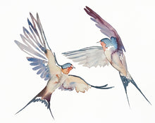 Load image into Gallery viewer, 16” x 20” original watercolor pair or couple of flying barn swallow birds painting in an expressive, impressionist, minimalist, modern style by contemporary fine artist Elizabeth Becker. Soft peach, blue, gray, plum or eggplant purple and white colors.
