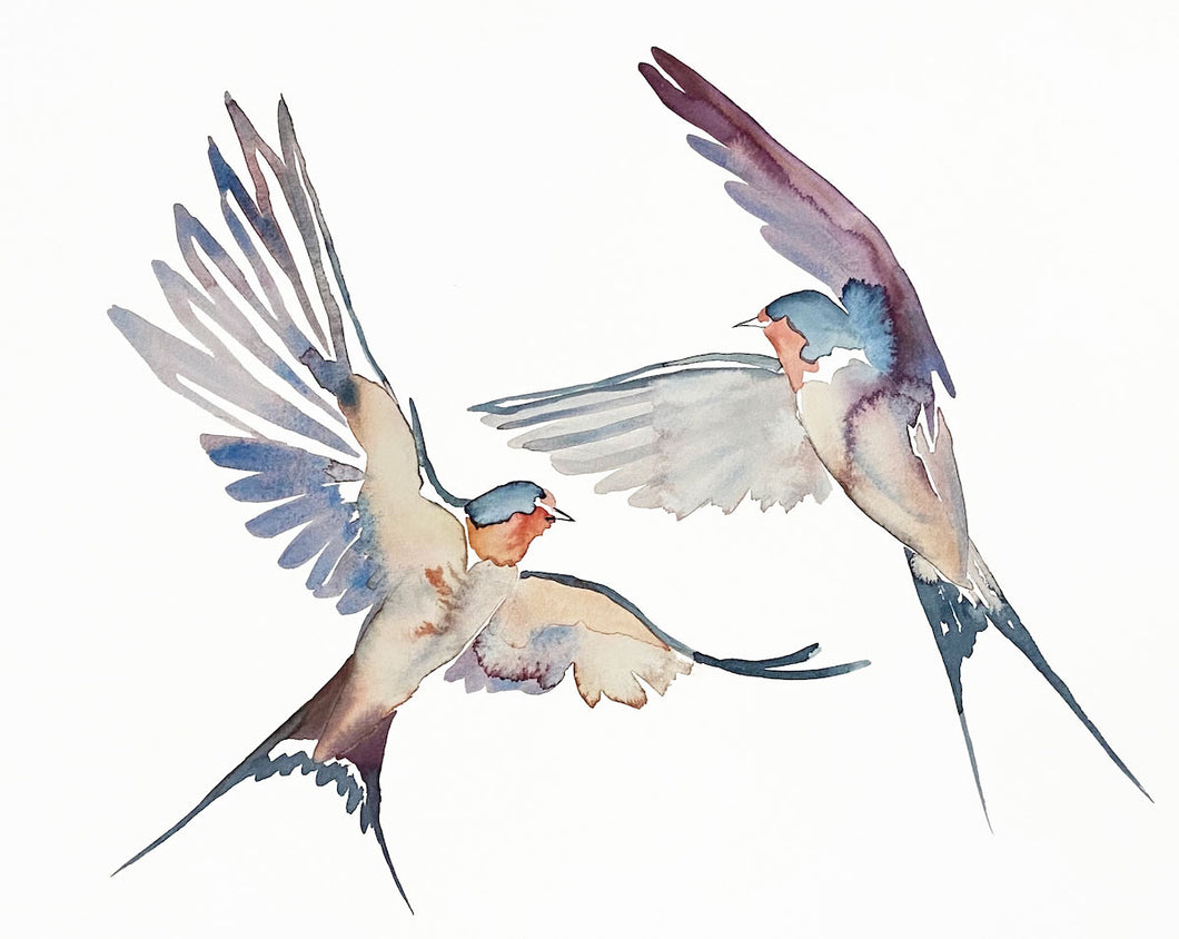16” x 20” original watercolor pair or couple of flying barn swallow birds painting in an expressive, impressionist, minimalist, modern style by contemporary fine artist Elizabeth Becker. Soft peach, blue, gray, plum or eggplant purple and white colors.