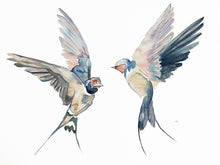 Load image into Gallery viewer, 18” x 24” original watercolor pair or couple of flying barn swallow birds painting in an expressive, impressionist, minimalist, modern style by contemporary fine artist Elizabeth Becker. Soft pale pink, peach, ink blue, gray and white colors.
