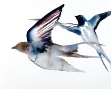 Load image into Gallery viewer, 16” x 20” original watercolor pair or couple of flying swallow birds painting in an expressive, impressionist, minimalist, modern style by contemporary fine artist Elizabeth Becker. Soft watery monochromatic ink blue, purple, brown, gray and white colors.
