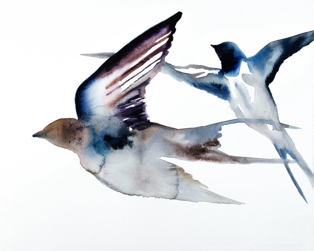 16” x 20” original watercolor pair or couple of flying swallow birds painting in an expressive, impressionist, minimalist, modern style by contemporary fine artist Elizabeth Becker. Soft watery monochromatic ink blue, purple, brown, gray and white colors.