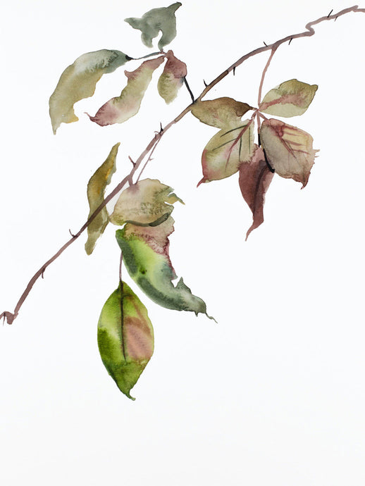 9” x 12” original watercolor botanical nature line painting of plant, leaves and branches in an expressive, impressionist, minimalist, modern style by contemporary fine artist Elizabeth Becker. Soft green, gold, deep red and white colors.