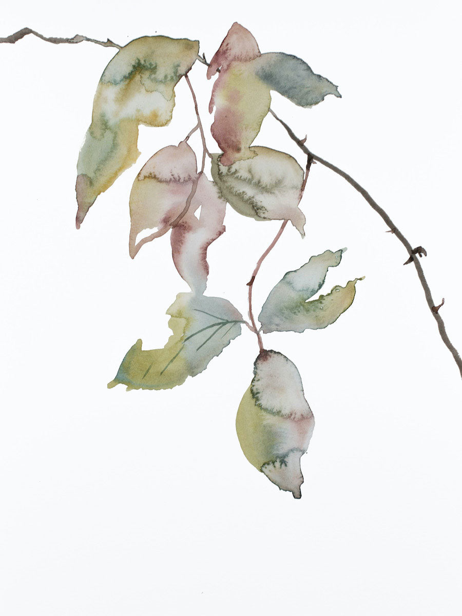 9” x 12” original watercolor botanical nature line painting of plant, leaves and branches in an expressive, impressionist, minimalist, modern style by contemporary fine artist Elizabeth Becker. Soft blue green gold and white.