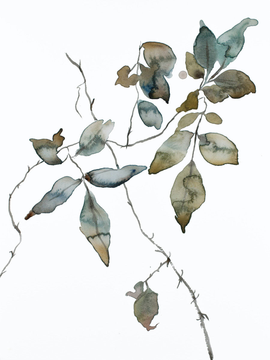 9” x 12” original watercolor botanical nature line painting of plant, leaves and branches in an expressive, impressionist, minimalist, modern style by contemporary fine artist Elizabeth Becker. Soft blue green, gold and white.