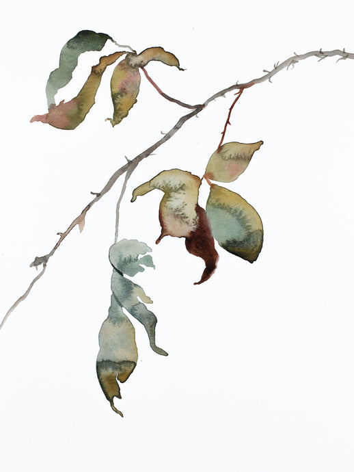 9” x 12” original watercolor botanical nature line painting of plant, leaves and branches in an expressive, impressionist, minimalist, modern style by contemporary fine artist Elizabeth Becker. Soft monochromatic blue green, gold, gray and white.