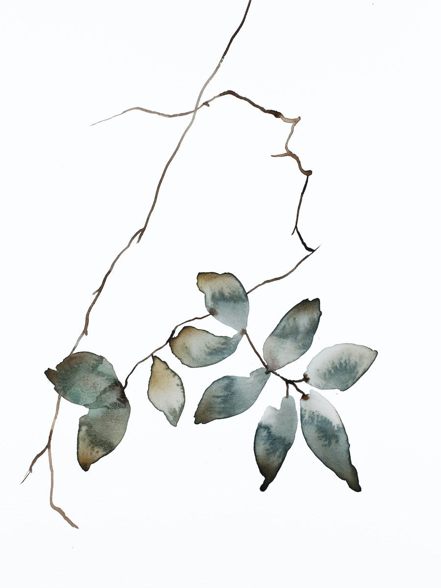 9” x 12” original watercolor botanical nature line painting of plant, leaves and branches in an expressive, impressionist, minimalist, modern style by contemporary fine artist Elizabeth Becker. Soft monochromatic blue green, gray and white.