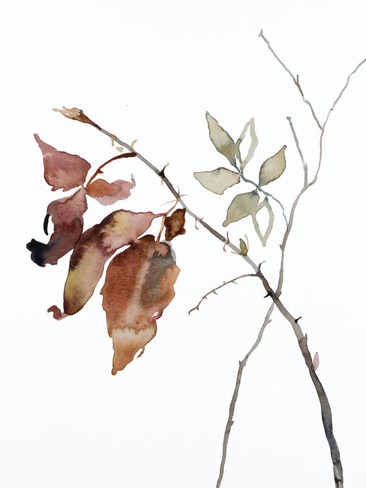 9” x 12” original watercolor botanical nature line painting of plant, leaves and branches in an expressive, impressionist, minimalist, modern style by contemporary fine artist Elizabeth Becker. Red, burnt sienna brown, pale green, gray and white colors.