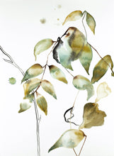 Load image into Gallery viewer, 11” x 15” original watercolor botanical nature painting of leaves and branches in an expressive, impressionist, minimalist, modern style by contemporary fine artist Elizabeth Becker. 
