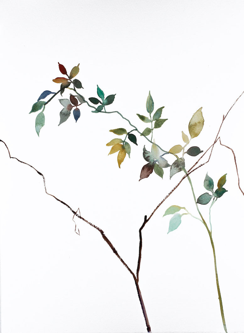 11” x 15” original watercolor botanical nature plant painting of leaves and branches in an expressive, impressionist, minimalist, modern style by contemporary fine artist Elizabeth Becker. Monochromatic soft blue green, gold, mauve purple and white colors.