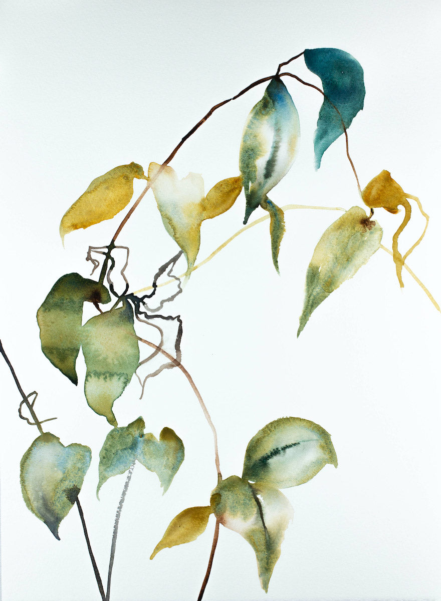 11” x 15” original watercolor botanical nature painting of leaves and branches in an expressive, impressionist, minimalist, modern style by contemporary fine artist Elizabeth Becker. 