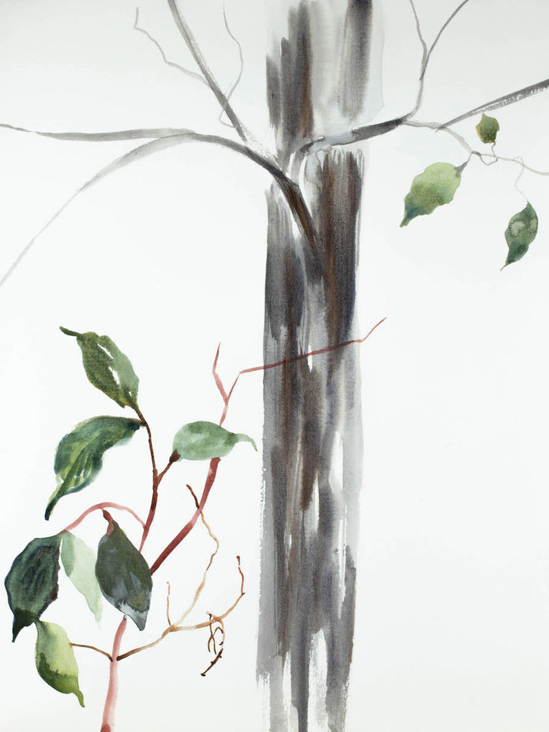 12” x 16” original watercolor botanical nature tree painting of leaves and branches in an expressive, impressionist, minimalist, modern style by contemporary fine artist Elizabeth Becker. Monochromatic soft gray, blue green and white colors.