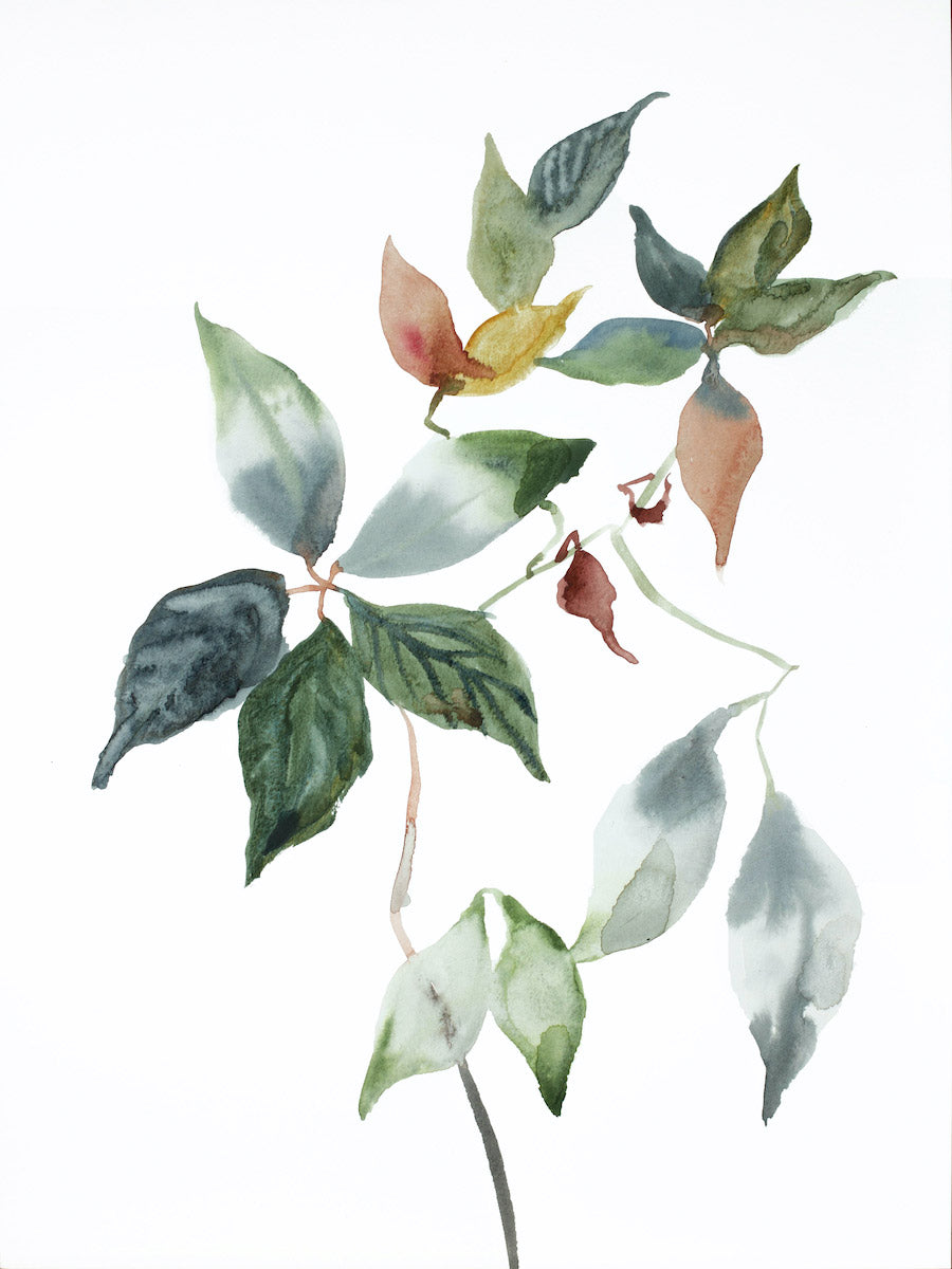 12” x 16” original watercolor botanical nature plant painting of leaves and branches in an expressive, impressionist, minimalist, modern style by contemporary fine artist Elizabeth Becker. Monochromatic soft blue green, gold, peach and white colors.