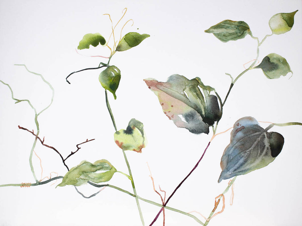 12” x 16” original watercolor botanical nature plant painting of leaves and branches in an expressive, impressionist, minimalist, modern style by contemporary fine artist Elizabeth Becker. Monochromatic soft blue green, gold and white colors.