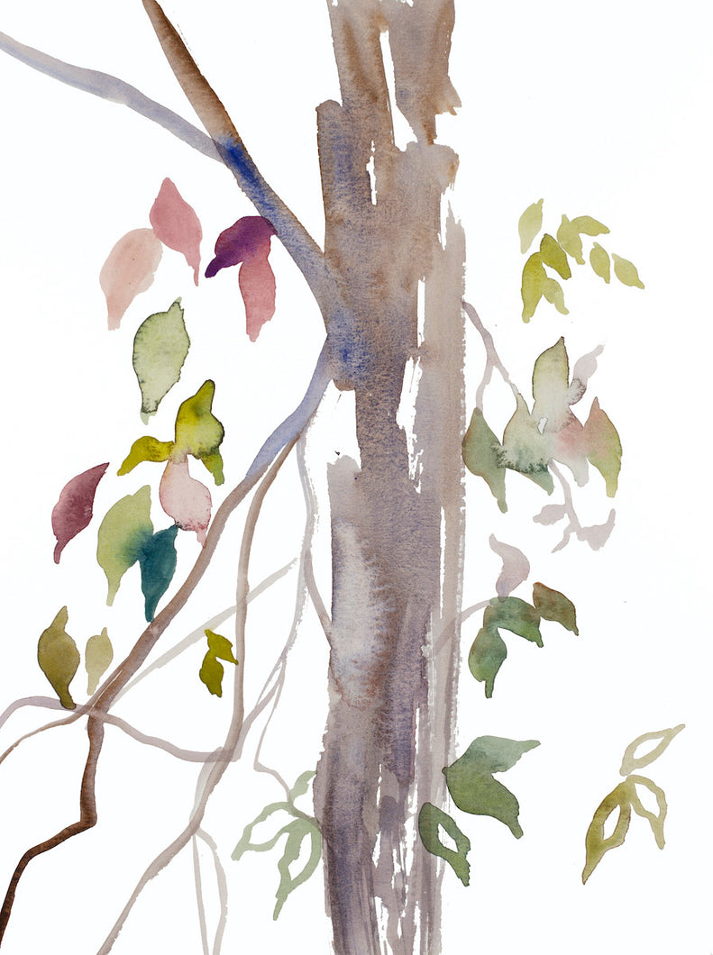 9” x 12” original watercolor botanical nature painting of trees, leaves and branches in an expressive, impressionist, minimalist, modern style by contemporary fine artist Elizabeth Becker