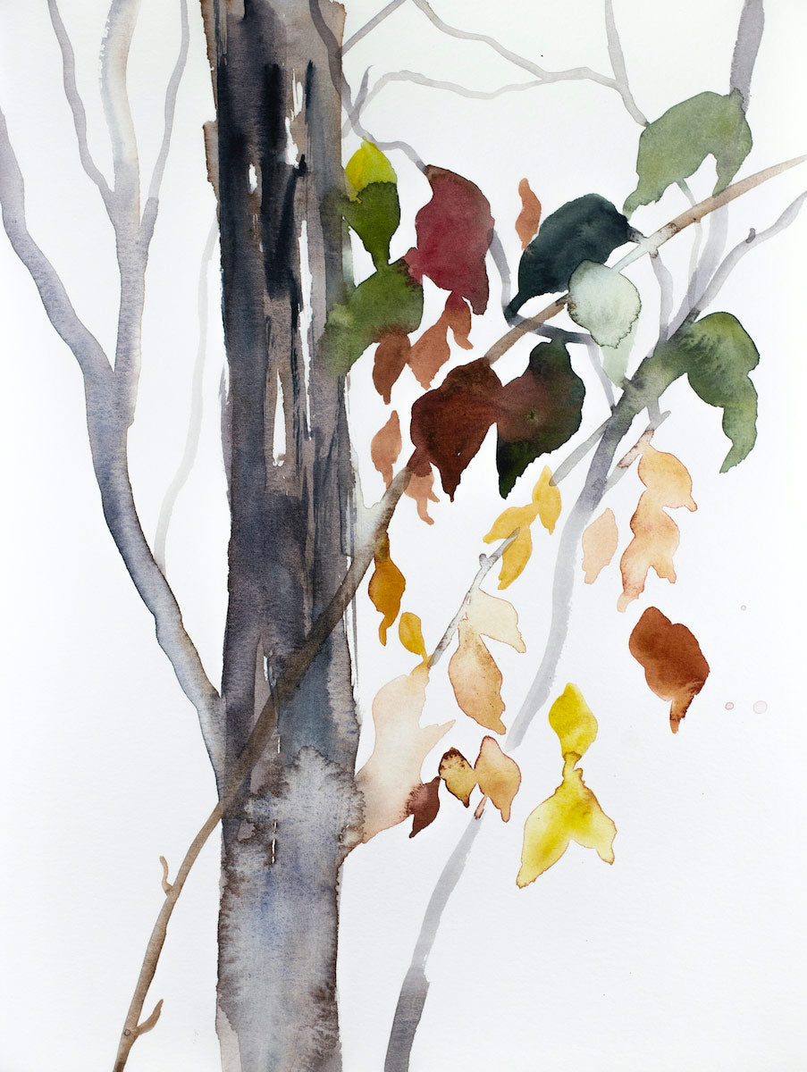 9” x 12” original watercolor botanical nature painting of tree, branches and leaves in an expressive, impressionist, minimalist, modern style by contemporary fine artist Elizabeth Becker. Soft green, red, peach, burnt sienna, gold, gray and white colors.