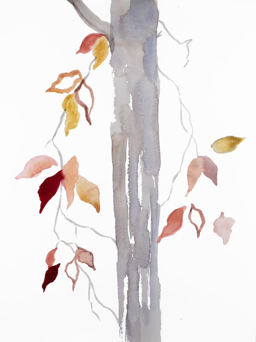 9” x 12” original watercolor botanical nature painting of tree and leaves in an expressive, impressionist, minimalist, modern style by contemporary fine artist Elizabeth Becker. Soft gray, pink, peach, red, gold and white colors.