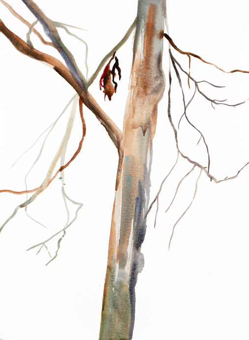 11” x 15” original watercolor botanical nature painting of tree and leaves in an expressive, impressionist, minimalist, modern style by contemporary fine artist Elizabeth Becker. Soft neutral brown, burnt sienna and white colors.