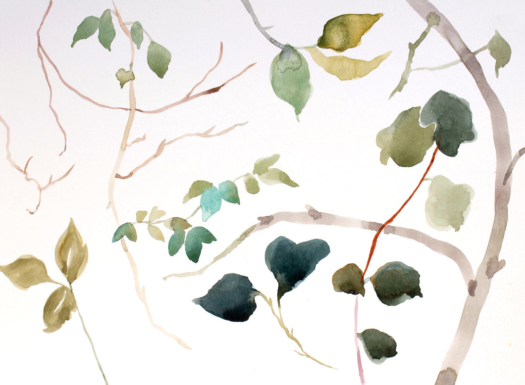 9” x 12” original watercolor botanical nature painting of plant, leaves and tree branches in an expressive, impressionist, minimalist, modern style by contemporary fine artist Elizabeth Becker