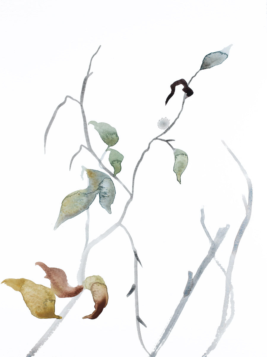 9” x 12” original watercolor botanical nature plant painting of leaves and branches in an expressive, impressionist, minimalist, modern style by contemporary fine artist Elizabeth Becker. Soft blue green, gold, gray and white colors.