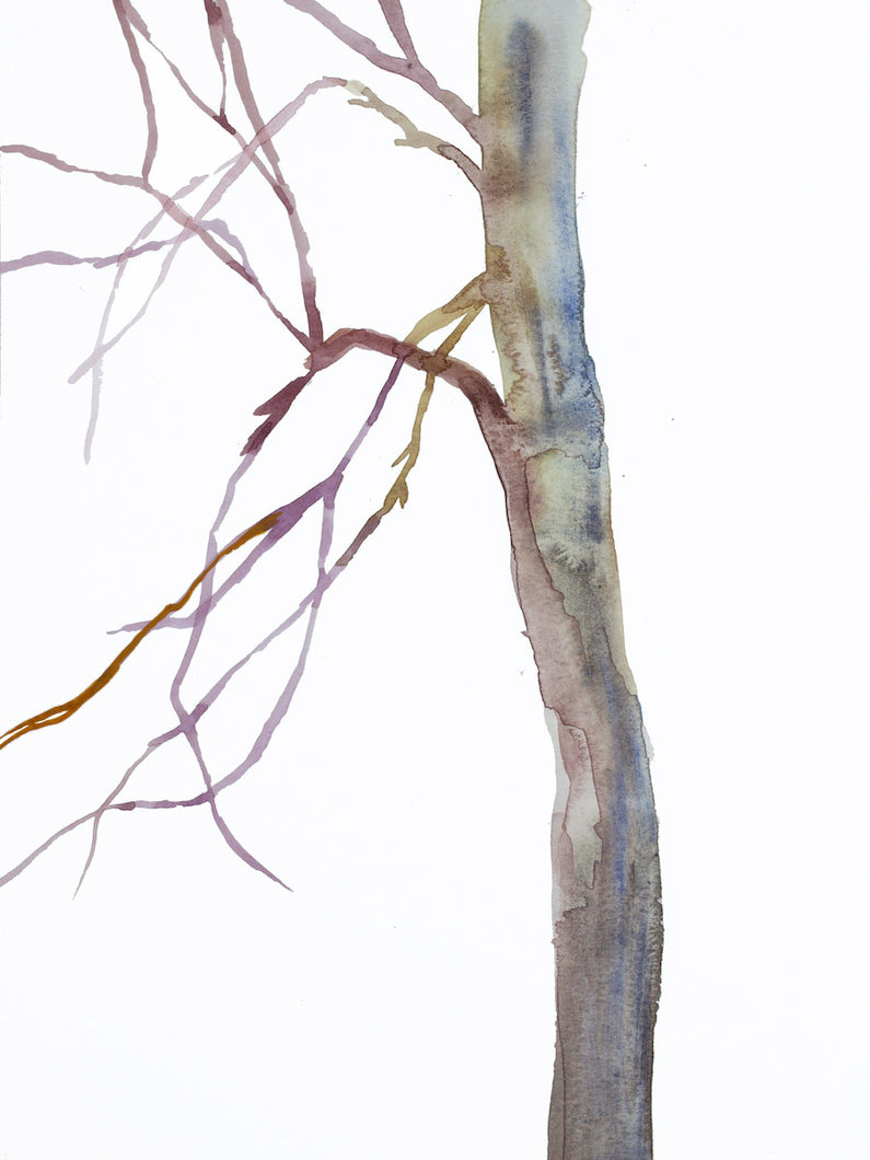 9” x 12” original watercolor botanical nature tree painting in an expressive, impressionist, minimalist, modern style by contemporary fine artist Elizabeth Becker. 