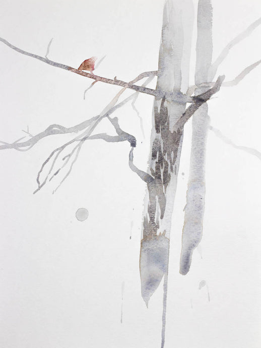 9” x 12” original watercolor botanical nature forest painting of tree and branches in an expressive, impressionist, minimalist, modern style by contemporary fine artist Elizabeth Becker. Soft ethereal monochromatic neutral gray and white colors.