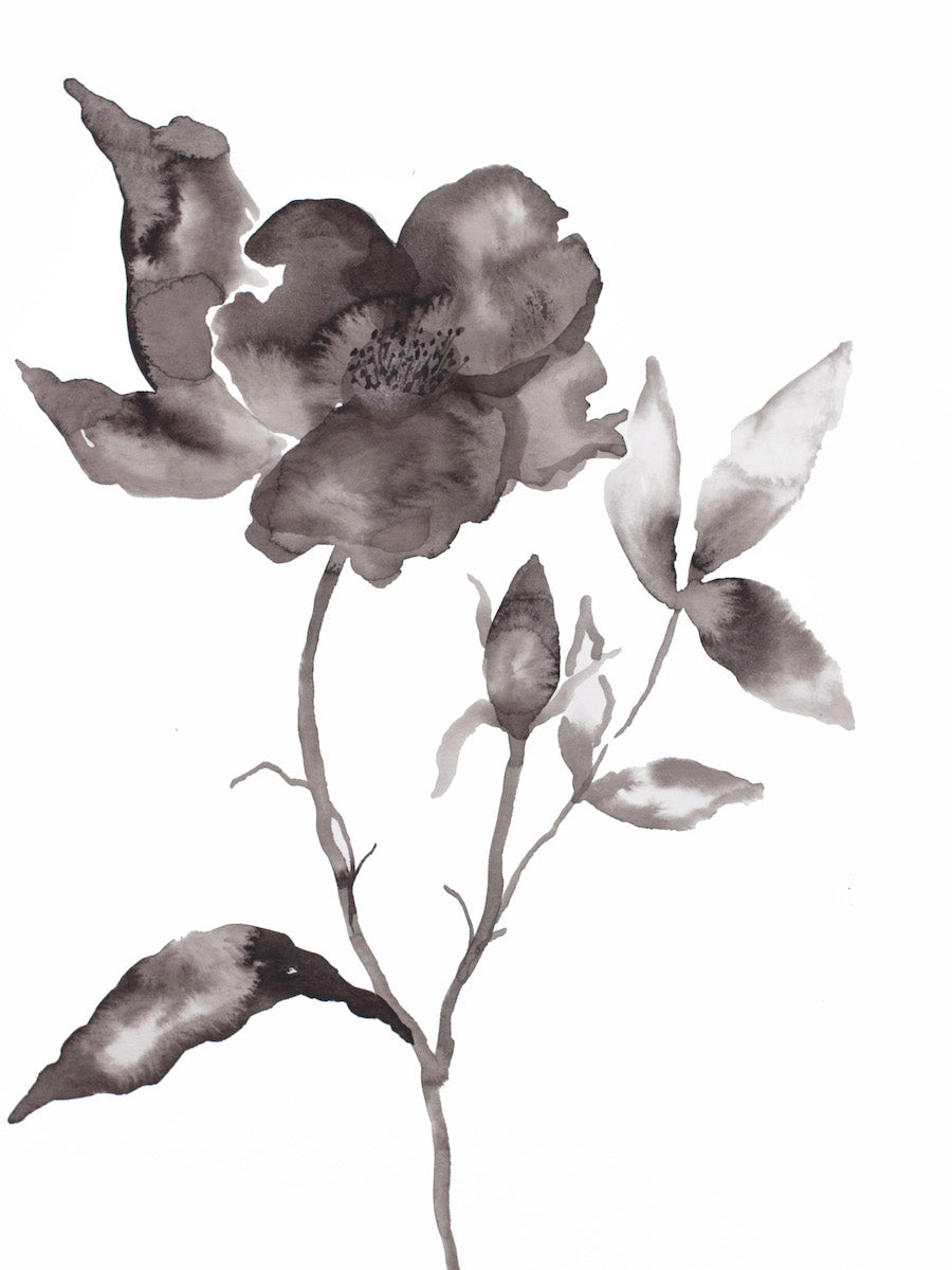 9” x 12” original botanical floral ink painting in an expressive, impressionist, minimalist, modern style by contemporary fine artist Elizabeth Becker. 