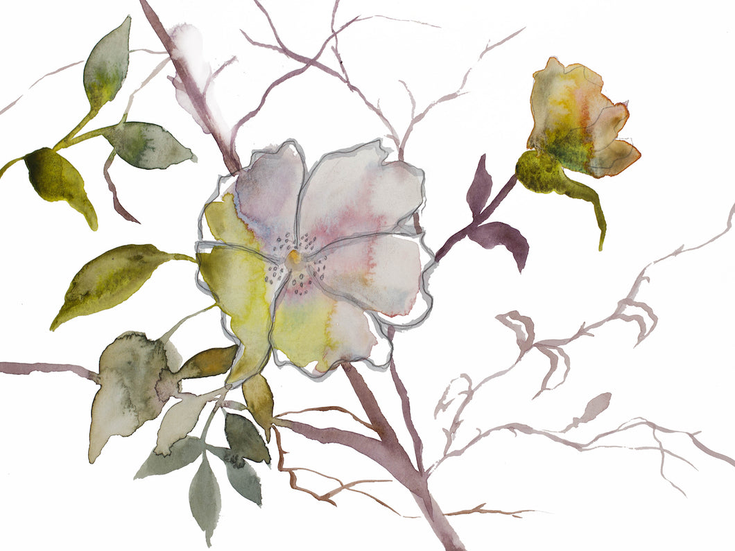 9” x 12